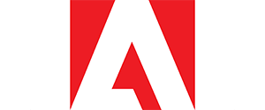 brinkmann-logo600x249-300x125